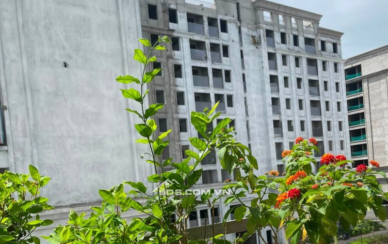 Chính chủ cần bán chung cư FLC tropical Hà Khánh 950 triệu